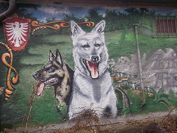 German National Alsatian Dog Association/Peterjon Cresswell