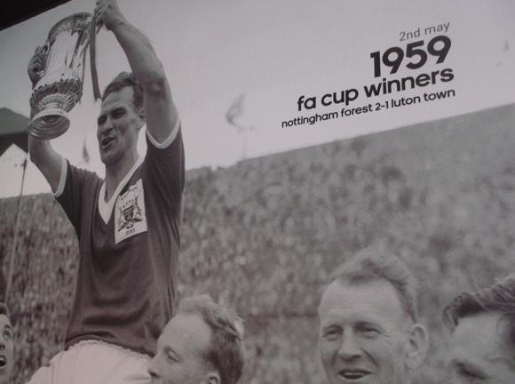 Forest Megastore/Peterjon Cresswell