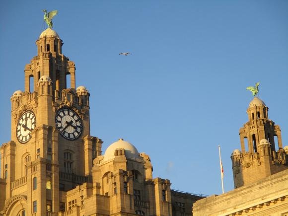 Welcome to Liverpool/Peterjon Cresswell