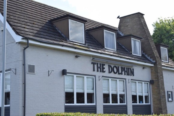 The Dolphin/Krisztián Mányi